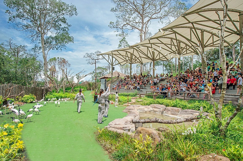 Animal and bird show at Vinpearl Safari